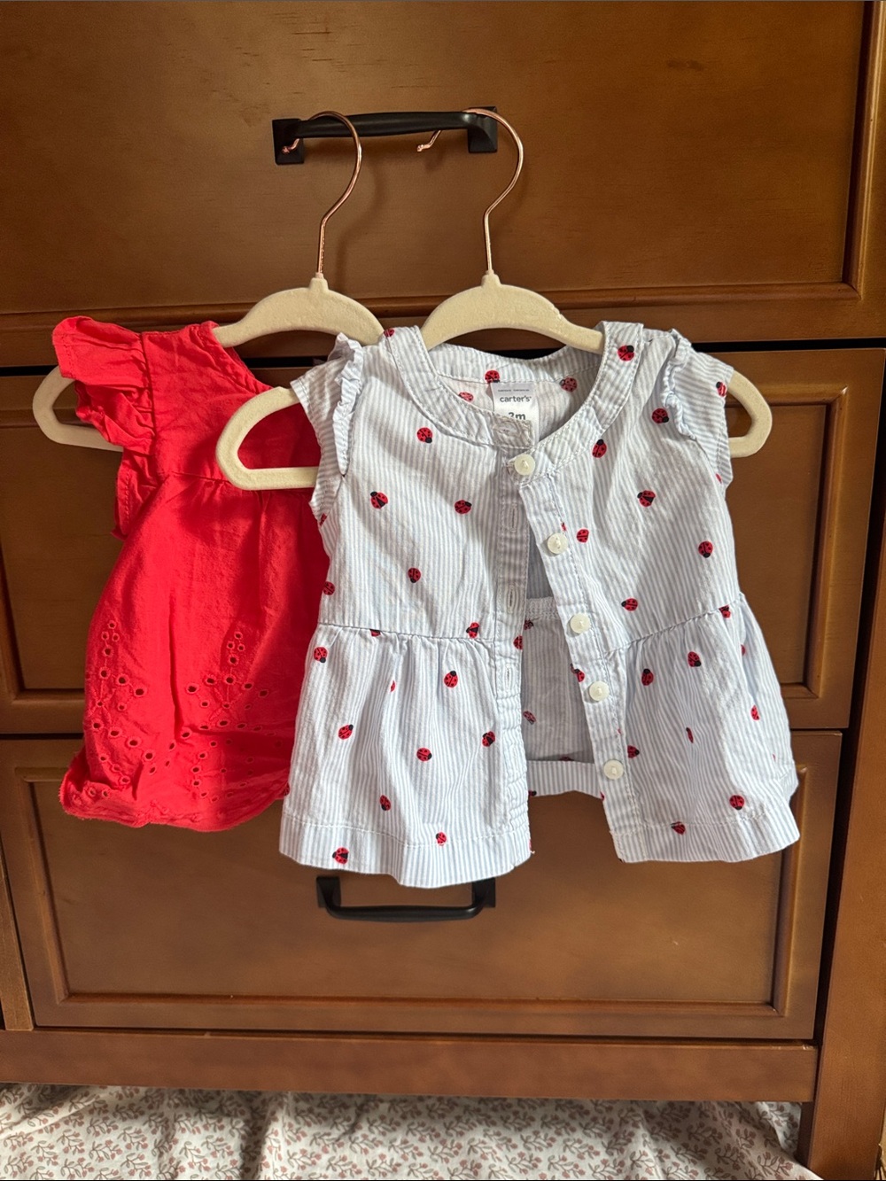 Carter's Red Eyelet Dress and White Striped Strawberry Print Top